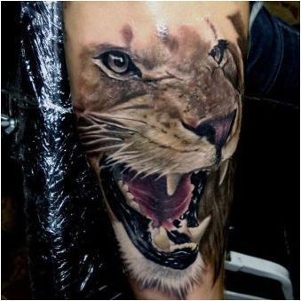 Всичко за Tattoo & # 171 + Lioness & # 187 +