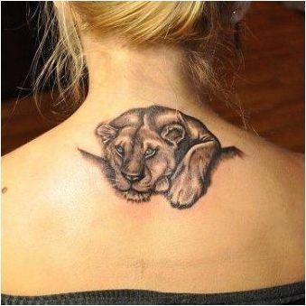Всичко за Tattoo & # 171 + Lioness & # 187 +