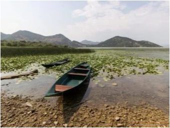 Езеро Скедар: история, атракции, схема на цената