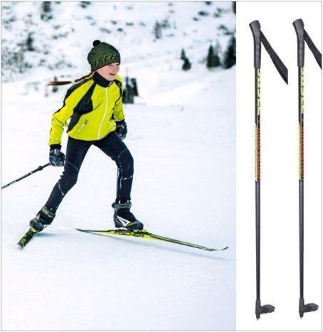 Какво представляват ски бягането и как да ги изберем?
