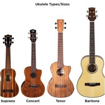 Всичко за ukulele soprano