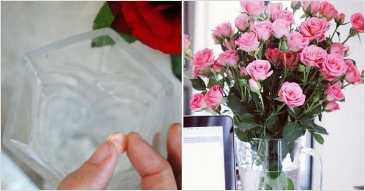 Какво да правим, за да розите за дълго време във ваза?
