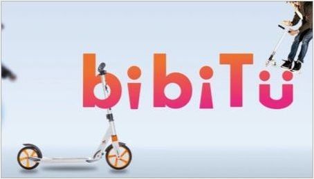 Bibitu скутери: най-добрите модели и функции на работа