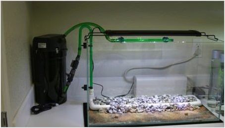 Биофилтър за аквариум: функции, видове и приложение