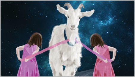 Близнаци, родени в годината на коза: характеристики и съвместимост