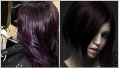 Черно и лилаво коса Цвят: опции и техники за оцветяване