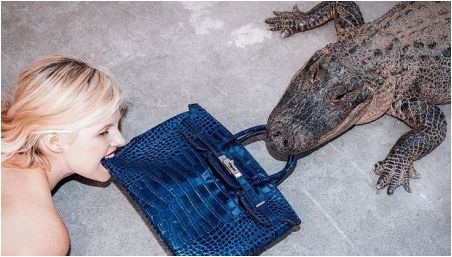 Дамски чанти от крокодил