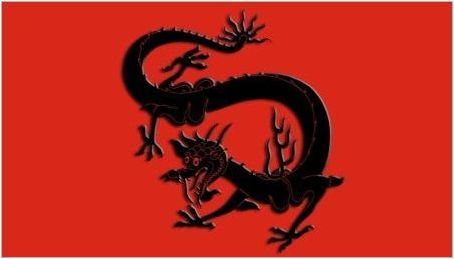 Година на дракона: характеристики на символа и съвместимост