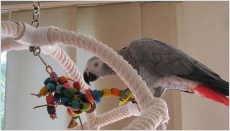 Играчките за папагали го правят сами