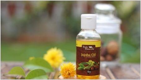 Jojoba Oil: свойства и препоръки за употреба