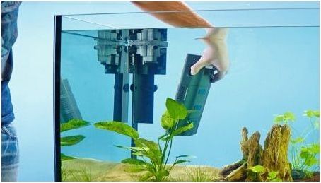 Как да инсталирате филтър в аквариума?