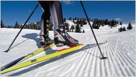Как да изберем ски за скейт инсулт за растеж?