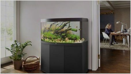 Как да се транспортира аквариум за дълги разстояния или в друг апартамент?