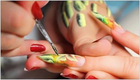 Китайска живопис върху ноктите: начини за създаване и полезни препоръки