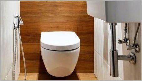 Ламинат в тоалетната: плюсове и минуси, избор, примери за довършителни работи