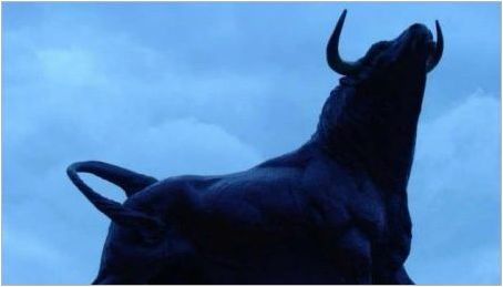 Мъжки бик: години на раждане, характеристики и съвместимост
