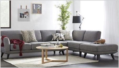 Сив диван в хола Интериор: типове, с какво да се комбинира и как да изберем?