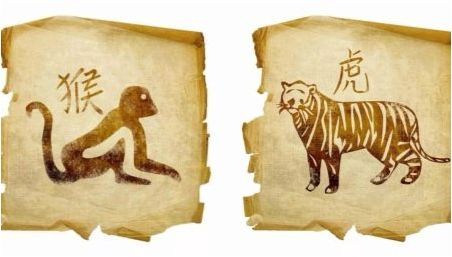Съвместимост на Тигър и маймуна