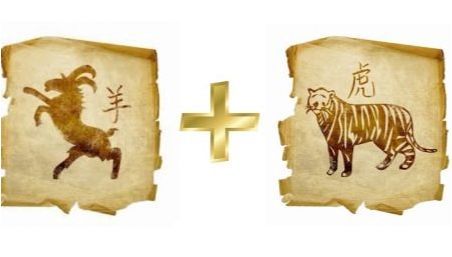 Съвместимост на тигъра и козите (овце) на източния хороскоп