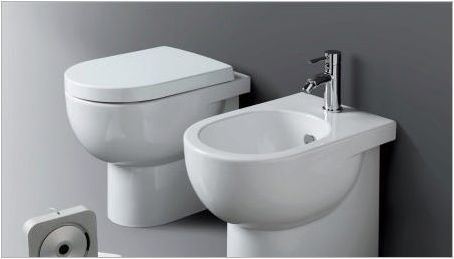 Захранващи тоалетни: Характеристики, видове и инсталации